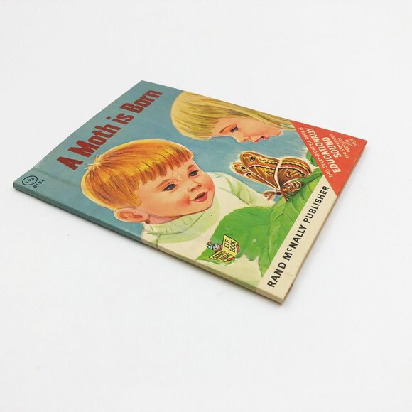 A Moth is Born by Herbert Walker 1967 Hardback - Picture 3 of 8